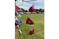 Logo for Kaitlin’s Happy Fish Logo for Kaitlin’s Happy Fish